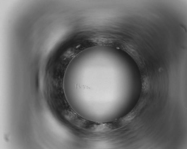 X0000102310430200808011607