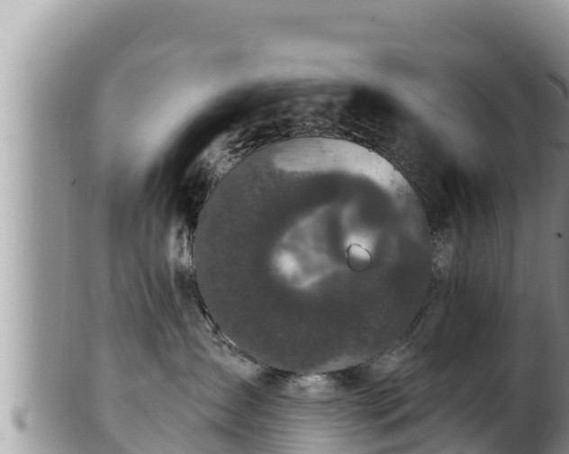 X0000102310431200808011607