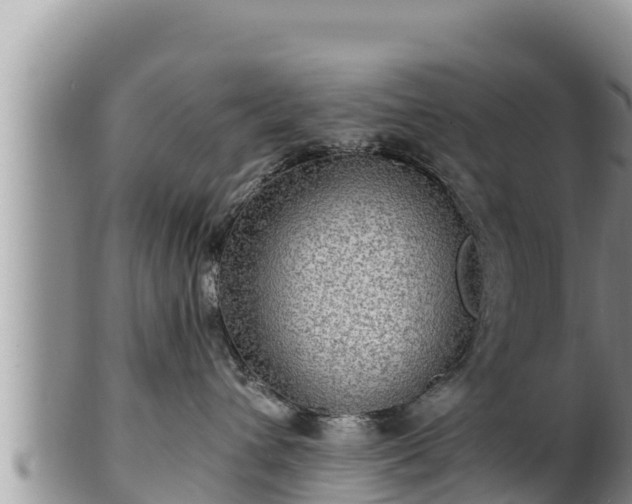 X0000102310432200808011607