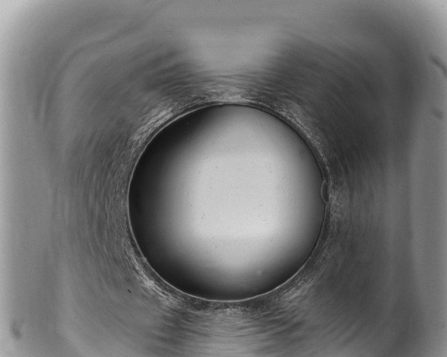 X0000102310433200808011606