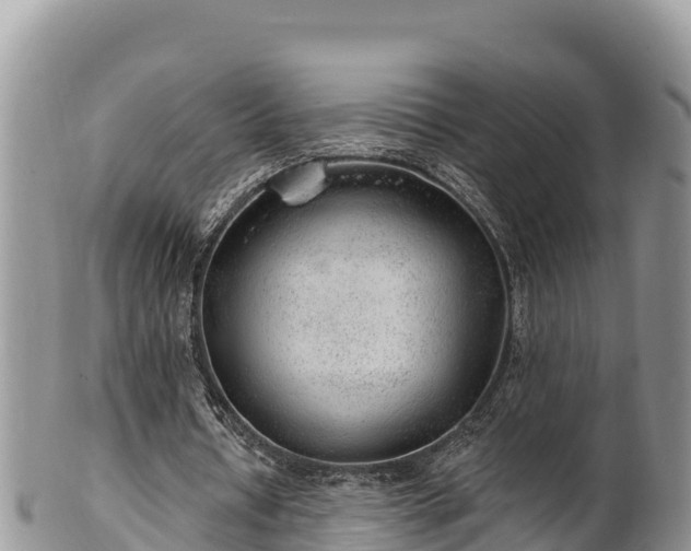 X0000102310434200808011606