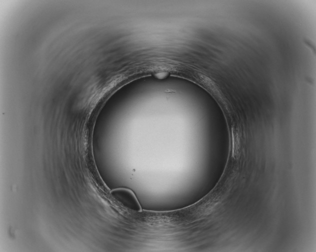 X0000102310435200808011606