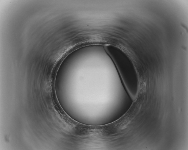 X0000102310436200808011606