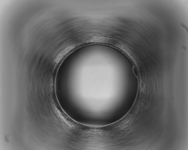 X0000102310437200808011606