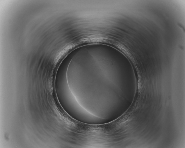 X0000102310438200808011606