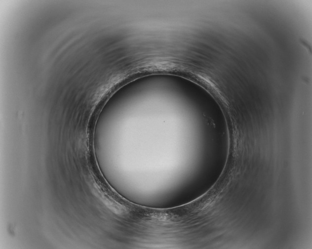 X0000102310439200808011606