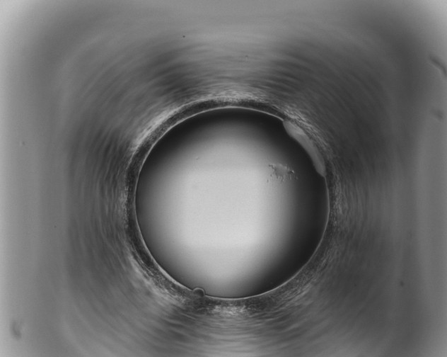 X0000102310440200808011606