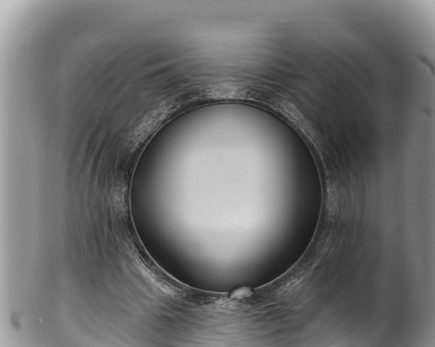 X0000102310441200808011606