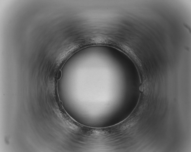 X0000102310442200808011606