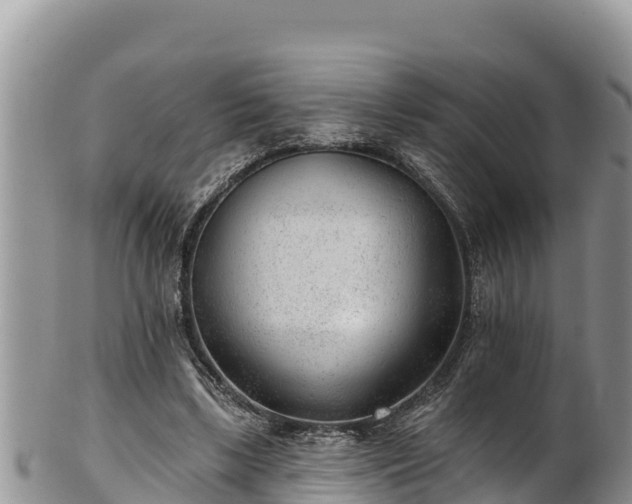 X0000102310443200808011606