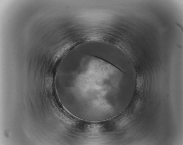 X0000102310444200808011606