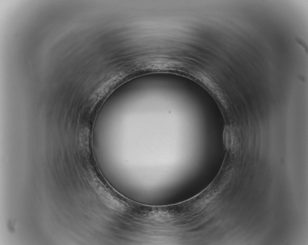 X0000102310445200808011606