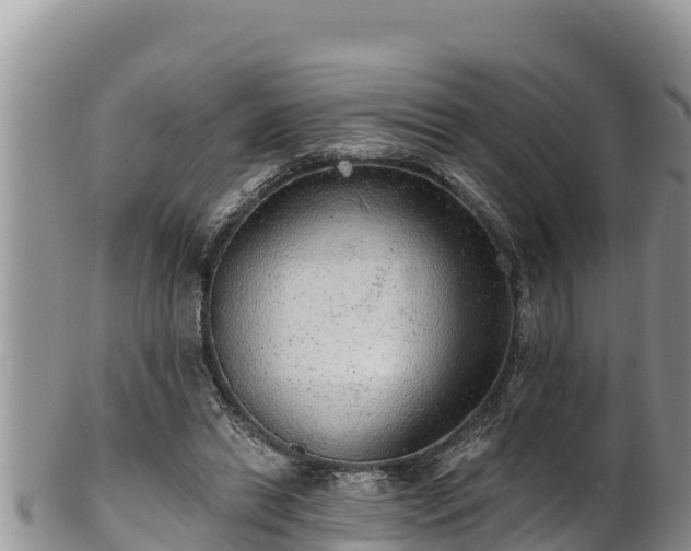 X0000102310446200808011606