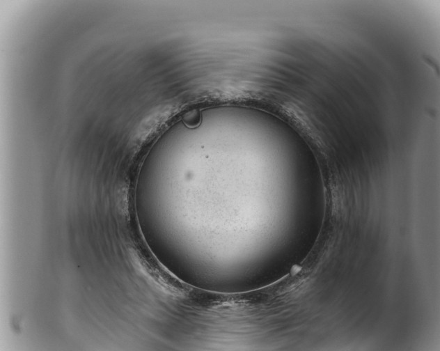 X0000102310447200808011606