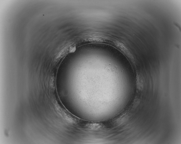 X0000102310449200808011606