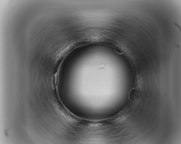 X0000102310450200808011606