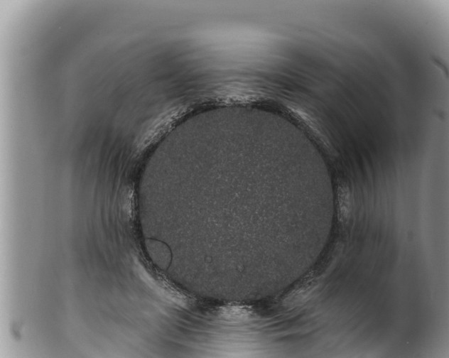 X0000102310451200808011606