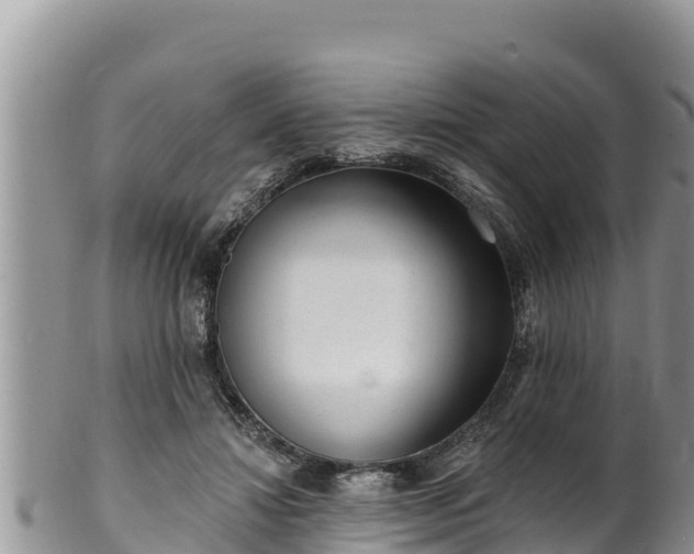 X0000102310452200808011606