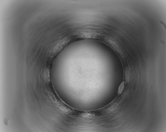 X0000102310453200808011606