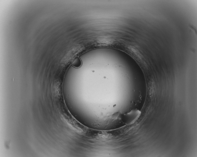 X0000102310455200808011606