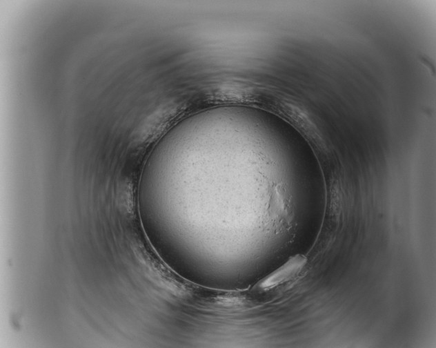 X0000102310457200808011606