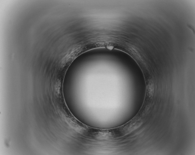 X0000102310458200808011607