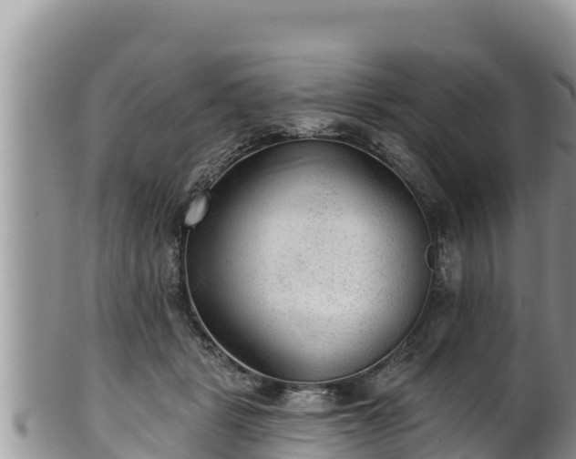 X0000102310461200808011607