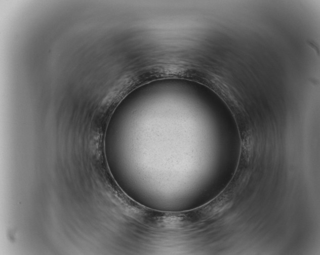 X0000102310462200808011607