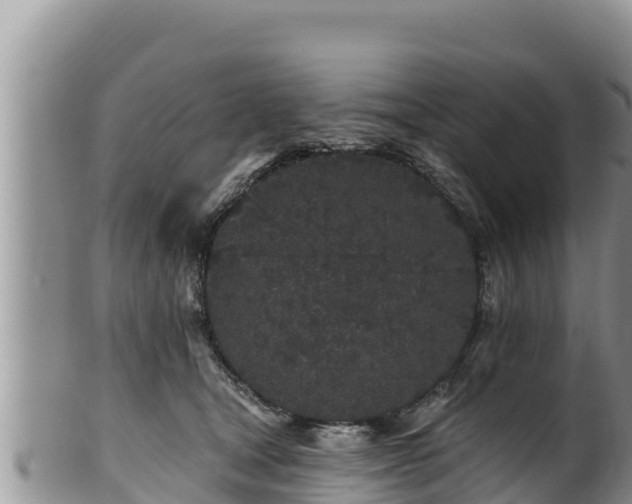 X0000102310465200808011607