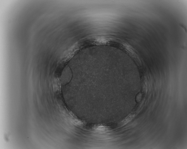 X0000102310467200808011607