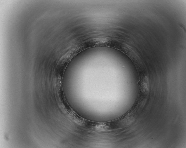 X0000102310468200808011607