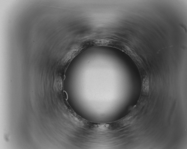 X0000102310474200808011607