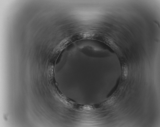 X0000102310475200808011607