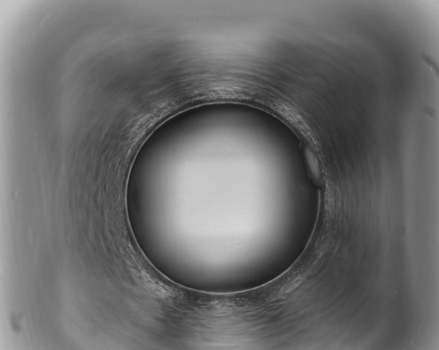 X0000102310481200808011606