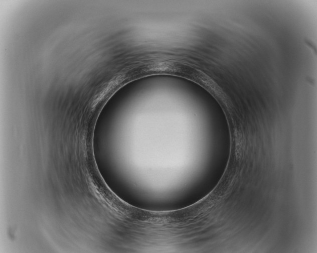 X0000102310482200808011606