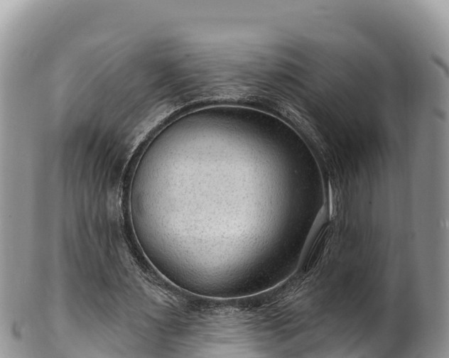 X0000102310483200808011606