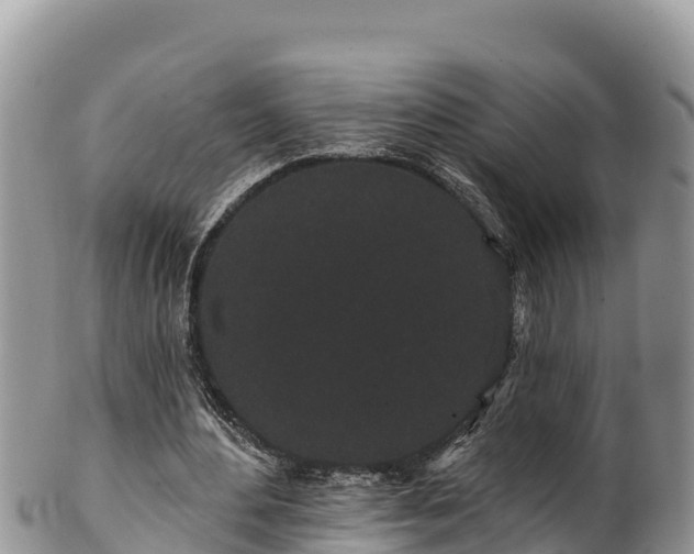 X0000102310484200808011606