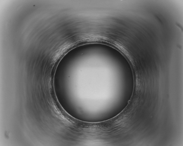 X0000102310485200808011606