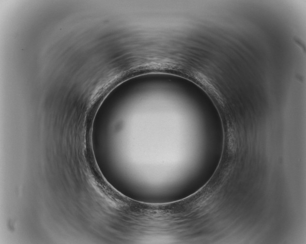 X0000102310486200808011606