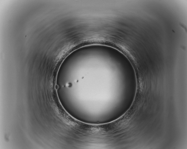 X0000102310487200808011606