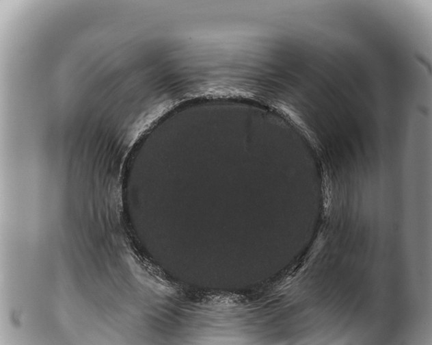 X0000102310488200808011606