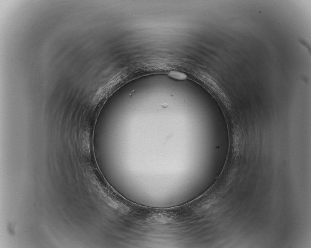 X0000102310489200808011606