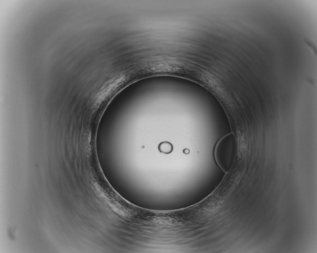 X0000102310490200808011606