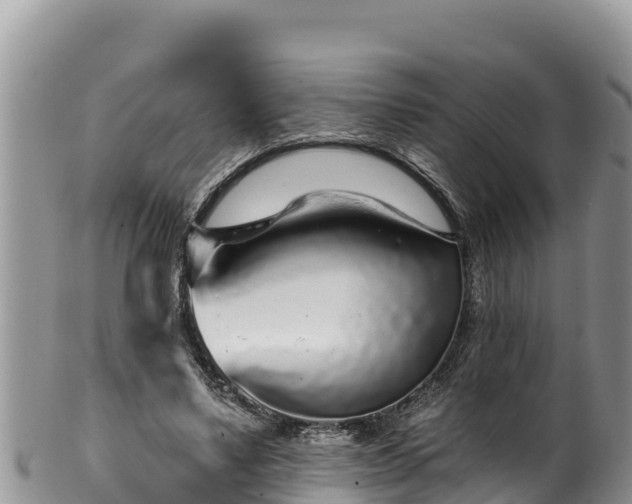 X0000102310491200808011606