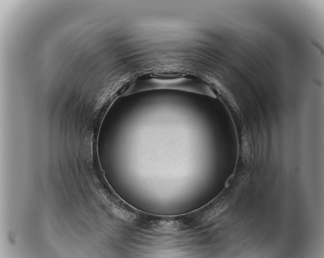 X0000102310493200808011606