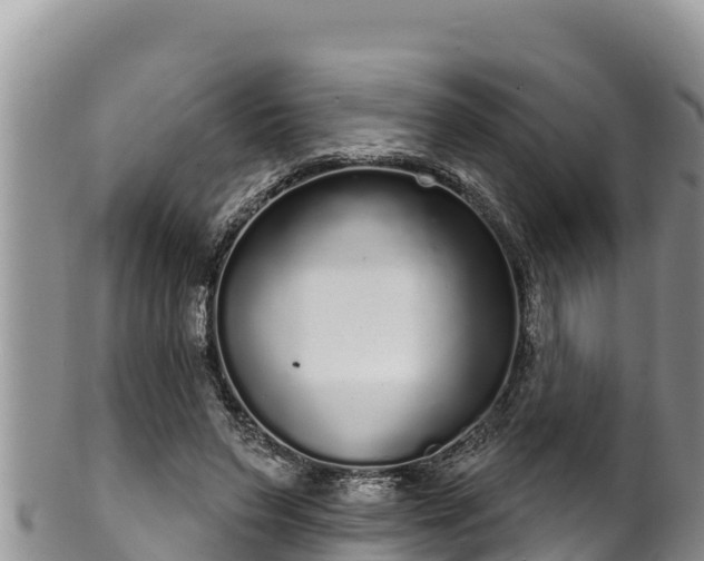 X0000102310495200808011606