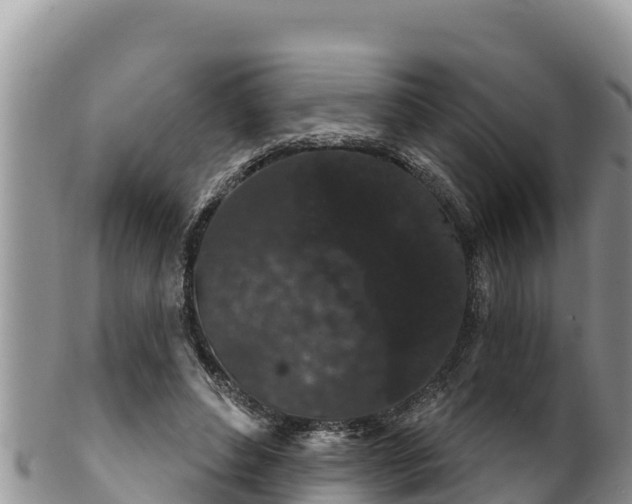 X0000102310496200808011606