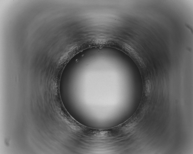 X0000102310497200808011606