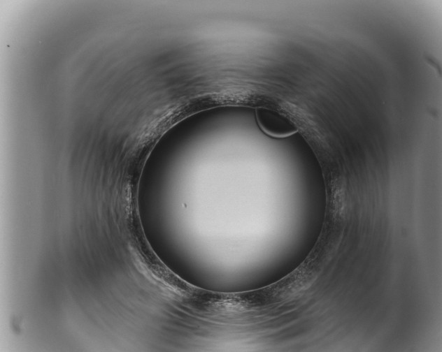 X0000102310498200808011606