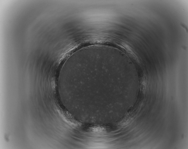 X0000102310500200808011606